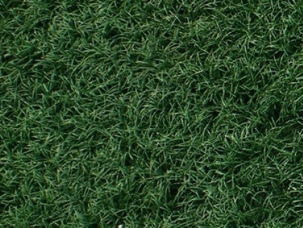 Искусственная трава B-Grass Sport