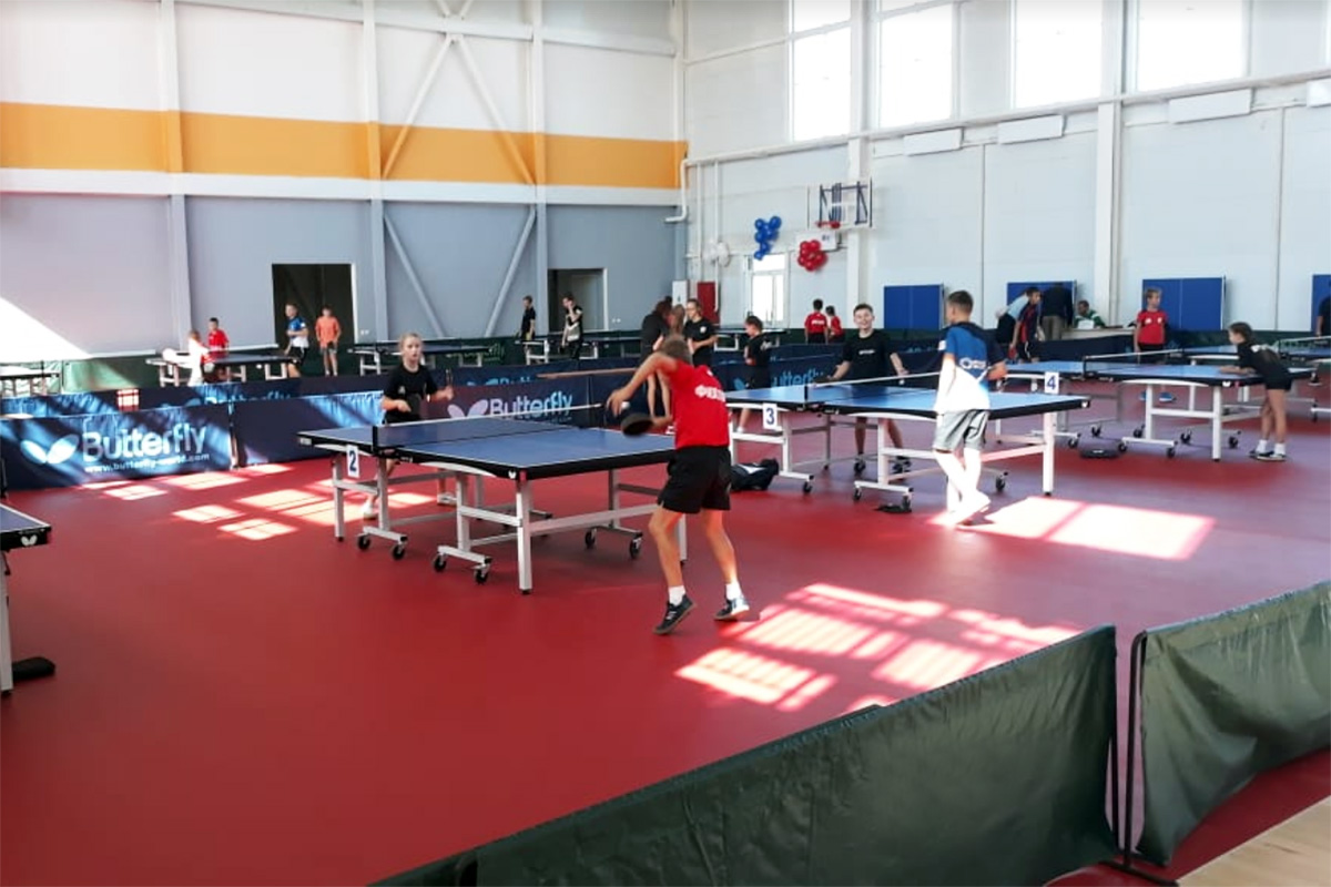 Настольный теннис спортивное покрытие Gerflor Taraflex Table Tennis Portable