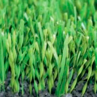 Искусственная трава Domo